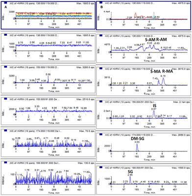 Simultaneous Determination of Selegiline, Desmethylselegiline, R/S-methamphetamine, and R/S-amphetamine on Dried Urine Spots by LC/MS/MS: Application to a Pharmacokinetic Study in Urine